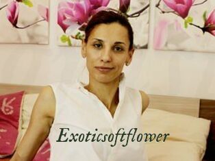 Exoticsoftflower