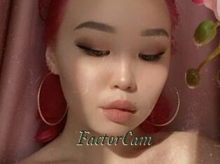 FactorCam