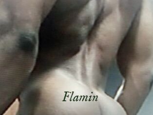Flamin
