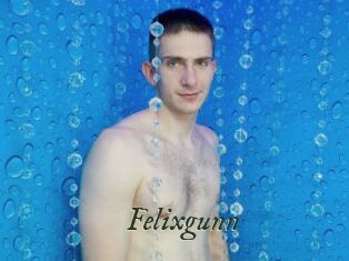 Felixgunn