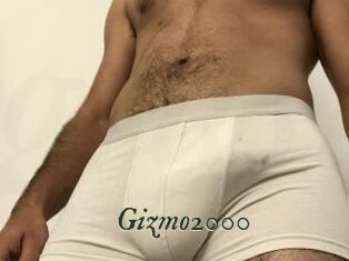 Gizmo2000