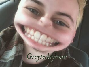 Greyteddybear