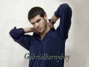 Gabrielhornyboy