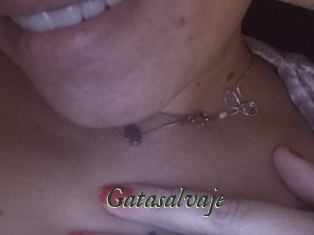 Gatasalvaje