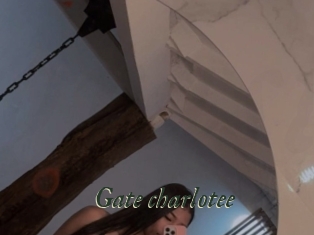 Gate_charlotee
