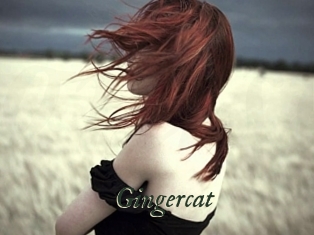 Gingercat