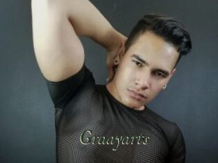 Graayarts