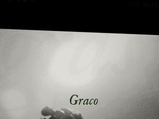 graco Gratis Strip