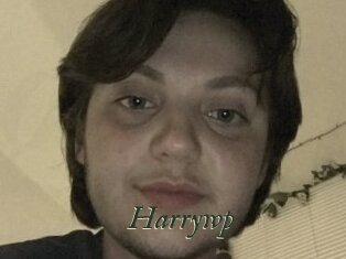 Harrywp