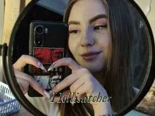 Hollisatcher