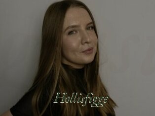 Hollisfigge