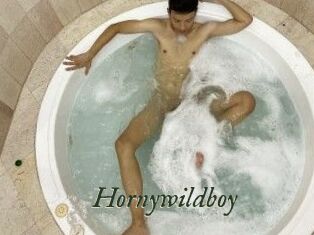 Hornywildboy