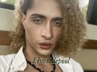 Hybridepool