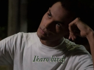 Ikaro_birdy