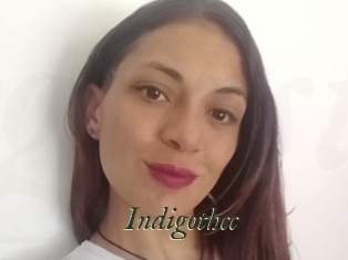 Indigothcc