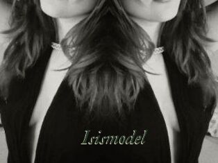 Isismodel