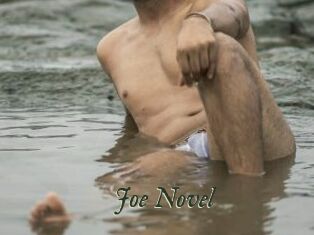 Joe_Novel