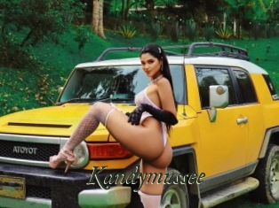 Kandymussee