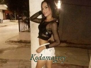 Kodamagrey