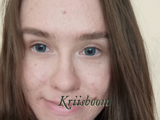 Kriisboom