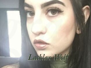 Lachlan_Wolf