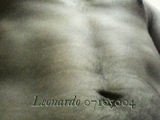 Leonardo-07105004