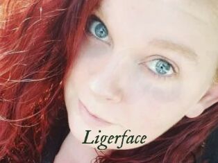 Ligerface