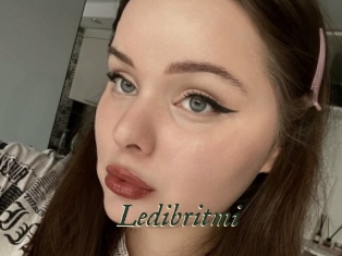 Ledibritmi