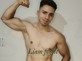 Liam_forest