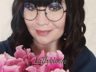 Lillybloom