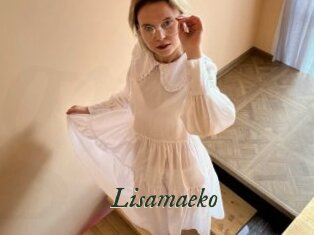 Lisamaeko