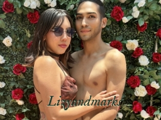Lizyandmarks
