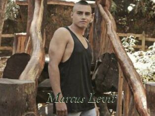 Marcus_Levit