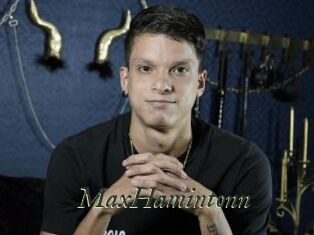 MaxHamintonn