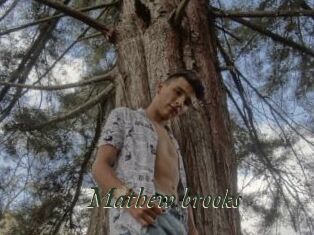 Mathew_brooks