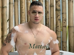 Mattseil