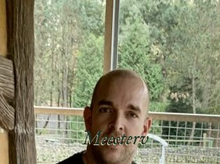 Meesterv