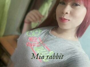 Mia_rabbit