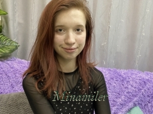Minamiler