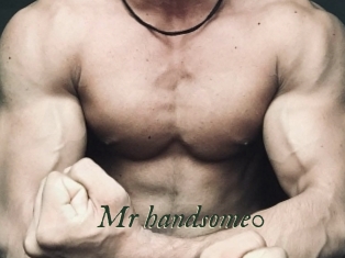 Mr_handsome0