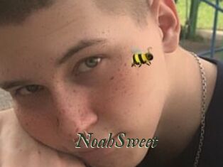 NoahSweet