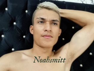 noahsmitt Gratis Strip