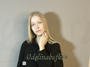 Odelinabufkin