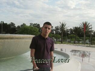 PeaceofLoves
