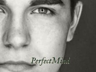 PerfectMind
