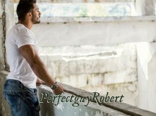 PerfectguyRobert