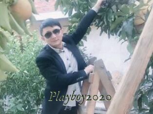 Playboy2020