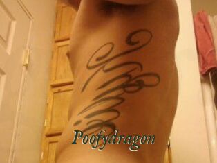 Poofydragon
