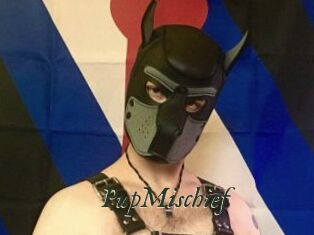 PupMischief
