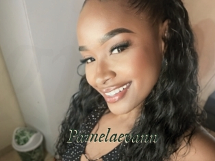 Pamelaevann